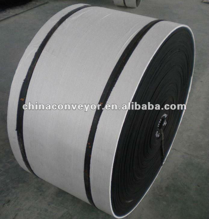 Conveyor Belt Nylon Fabric 2