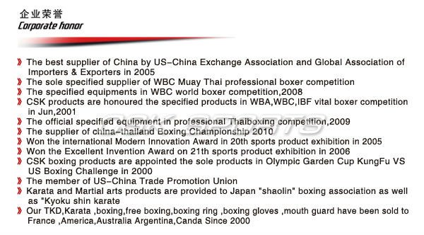 Multifunctional Boxing Stand