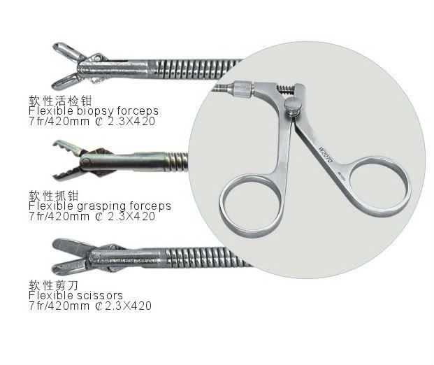 Endoscopy Biopsy Forceps,Biopsy Forceps For Endoscopy,Semirigid Buy