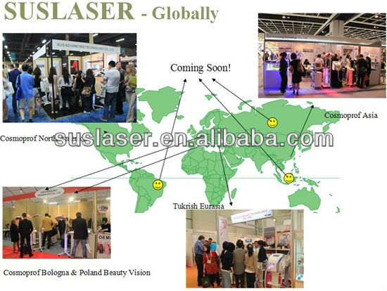 Popular pdt/ led light portable led light therapy for skin rejuvenation SMD LED(BL-001)