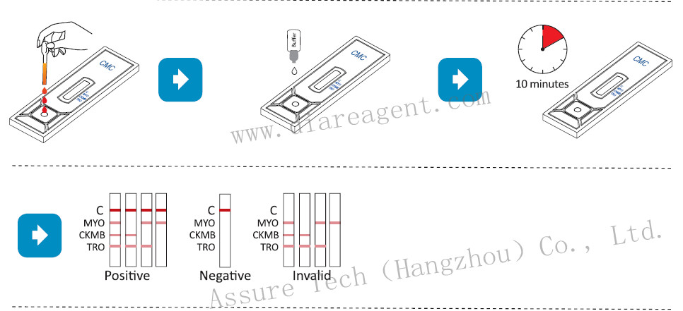 Troponin I Rapid Test Serum/Whole CE-GMP 818-591 3030-USA