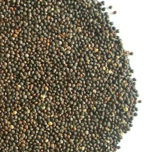 2014 Zi Su Zi Perilla Seeds Buy Perilla Seeds,White