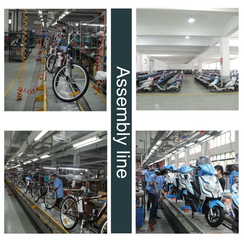 green evs electric bike