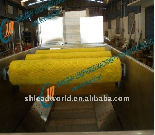 Fruit & Vegetable Cleaning (inspection) Line