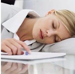 China Cheap Wholesale bed study pillow