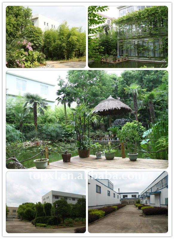 Aglaia odorata flower absolute