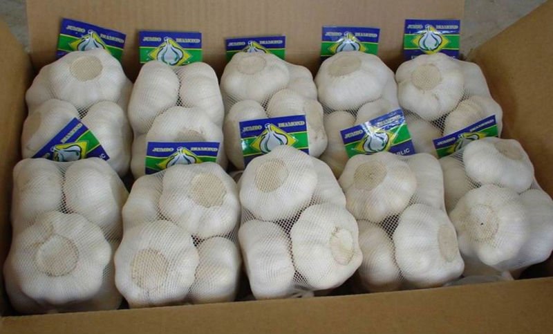 Fresh White Garlic China (Pure White)