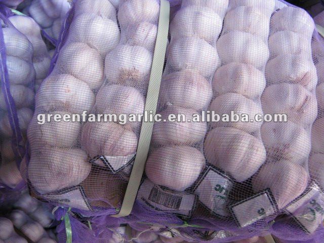 normal white garlic and pure white garlic in jinxiang