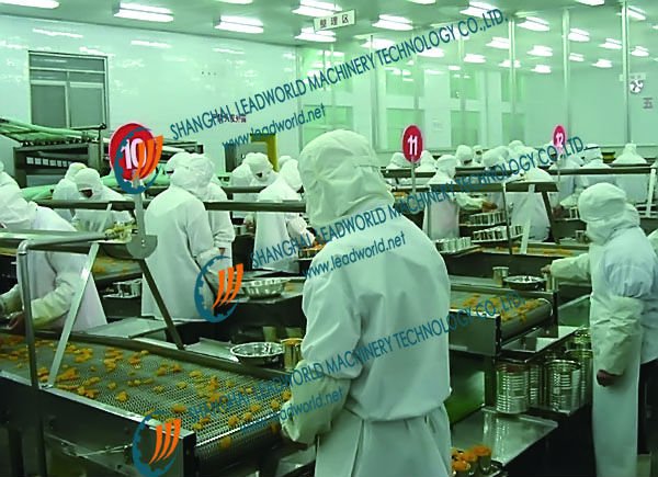 Fruit & Vegetable Cleaning (inspection) Line