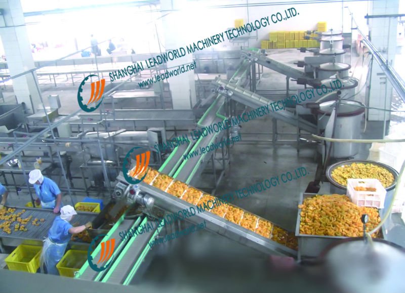 Fruit & Vegetable Cleaning (inspection) Line