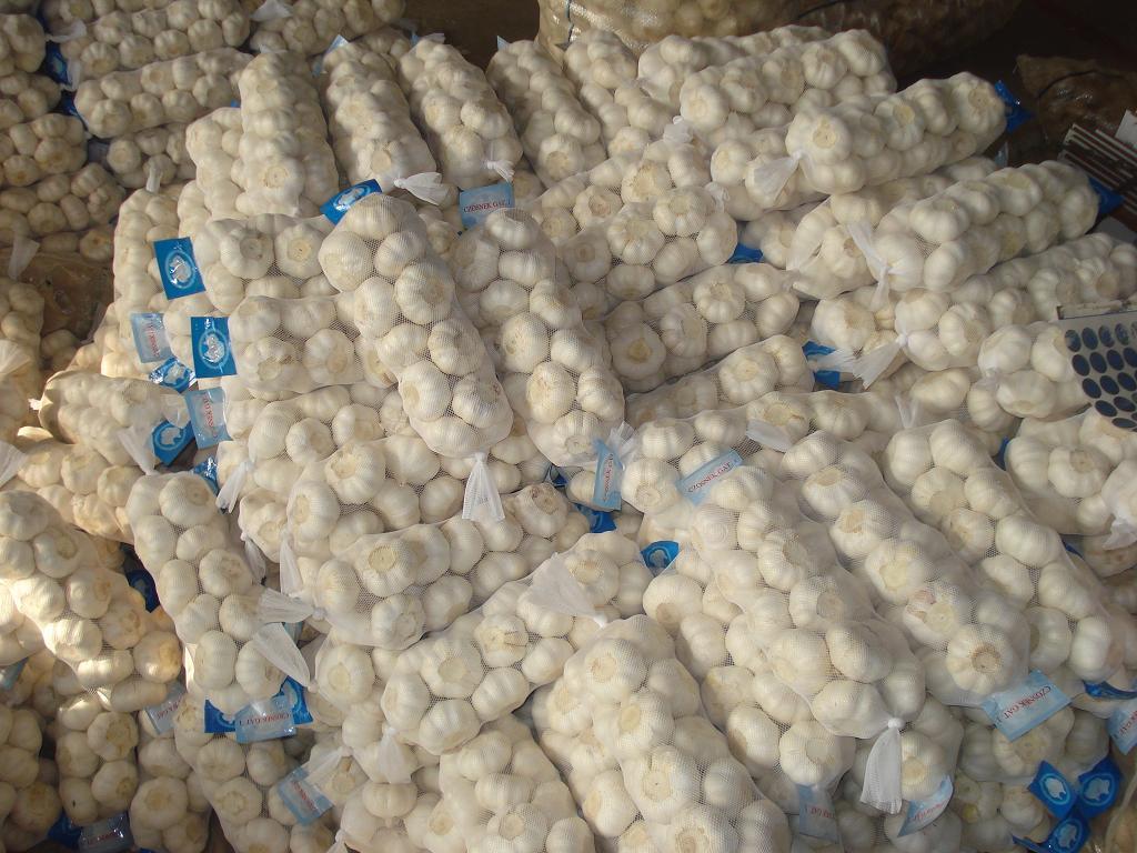 normal white Garlic(new crop)