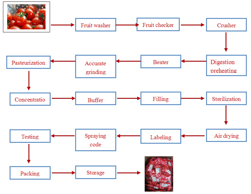 16 Tons Fresh Fruit3200 Kg Ketchupshift Ketchup Tomato Sauce
