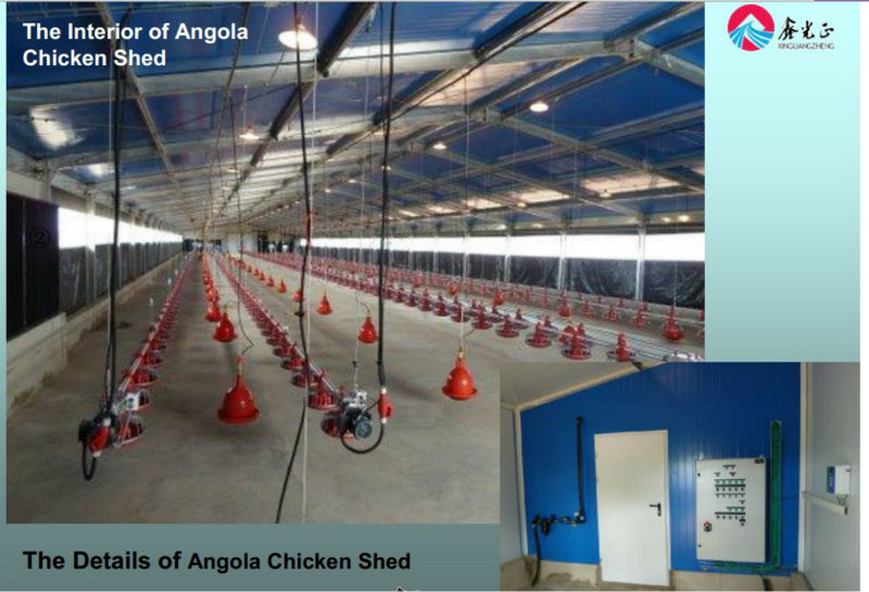 light steel Prefabricated chicken house/ Poultry House