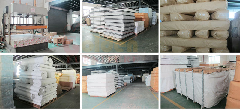 Colchón De Resorte Del Bolsillo Superior De Almohada De Bambú - Buy