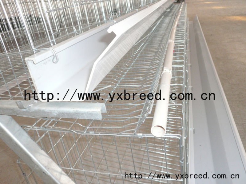 3L90 Quail Cage with pvc pipe and auto drinker