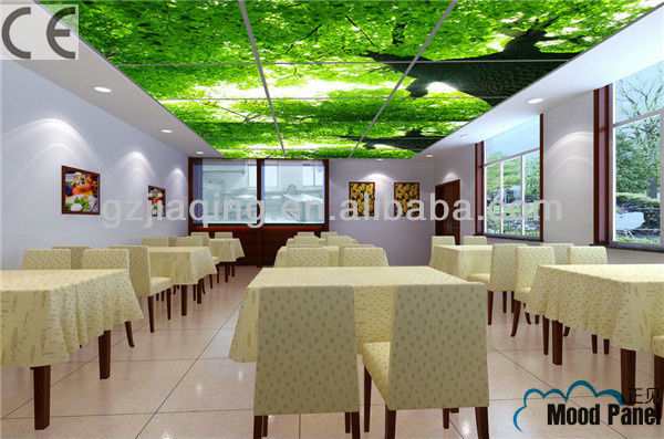 Sky Ceiling Tiles Tile Design Ideas Mood Panel Energy Saving Led Sky Ceiling Tiles