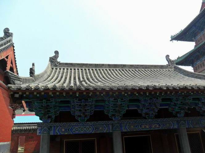 Techo Japones - Idea Sala De Estar