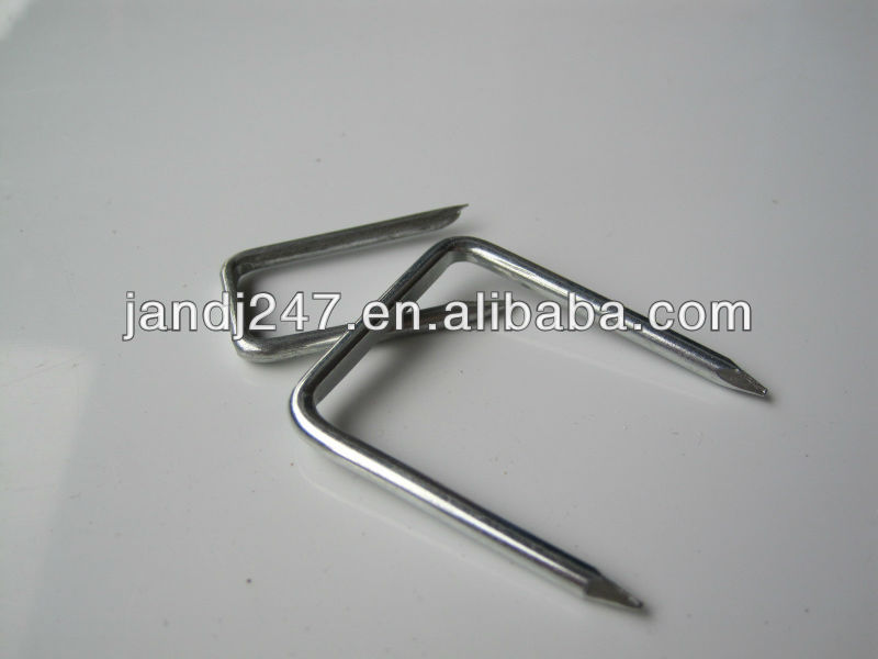 U Type Nail Shape In Guangzhou Supplier U Type Nail Shape In Guangzhou Supplier