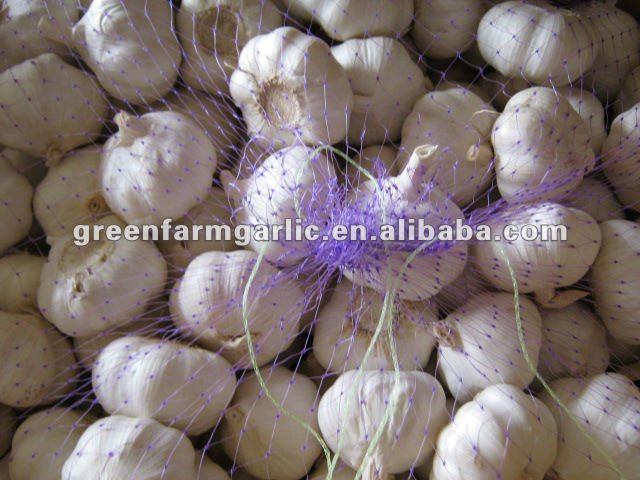 2011 chinese jinxiang fresh garlic