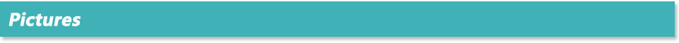 Fig. Image for content