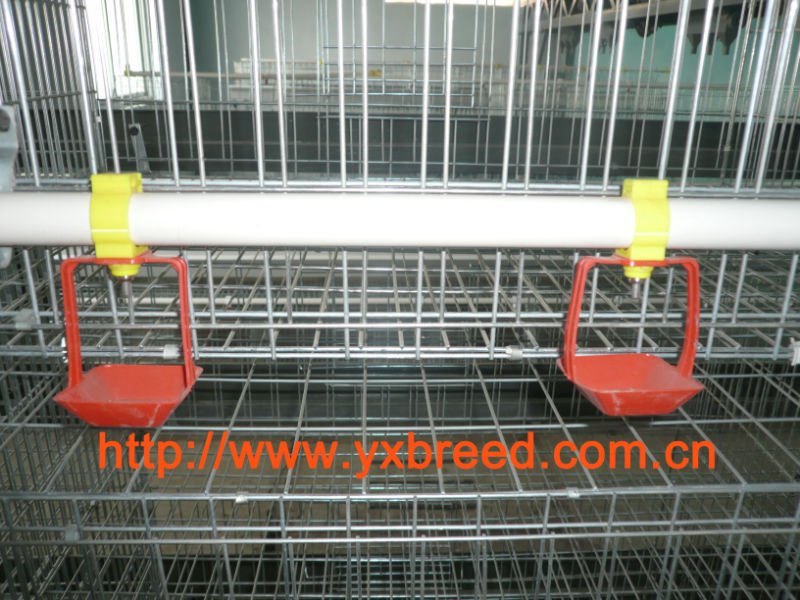 broiler cage/ baby chicken cage