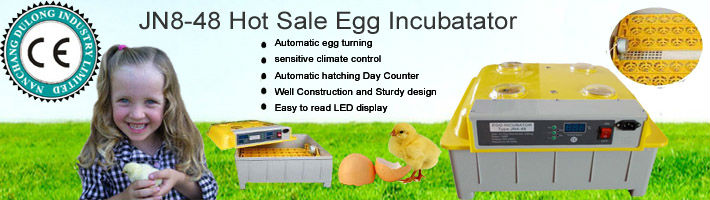 Janoel Brand 24 Eggs Automatic Chicken Egg Incubator Price India - Buy 