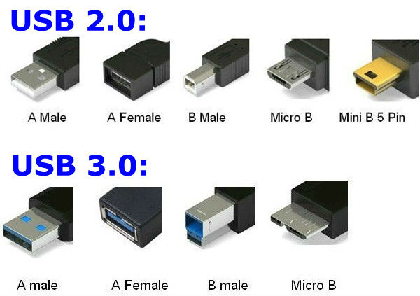 lava Vibrere undertrykkeren Can someone simply explain the difference between black usb ports and blue  usb ports on a computer? : r/AskTechnology