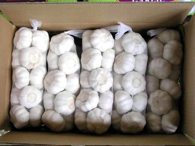 garlic supplier from china