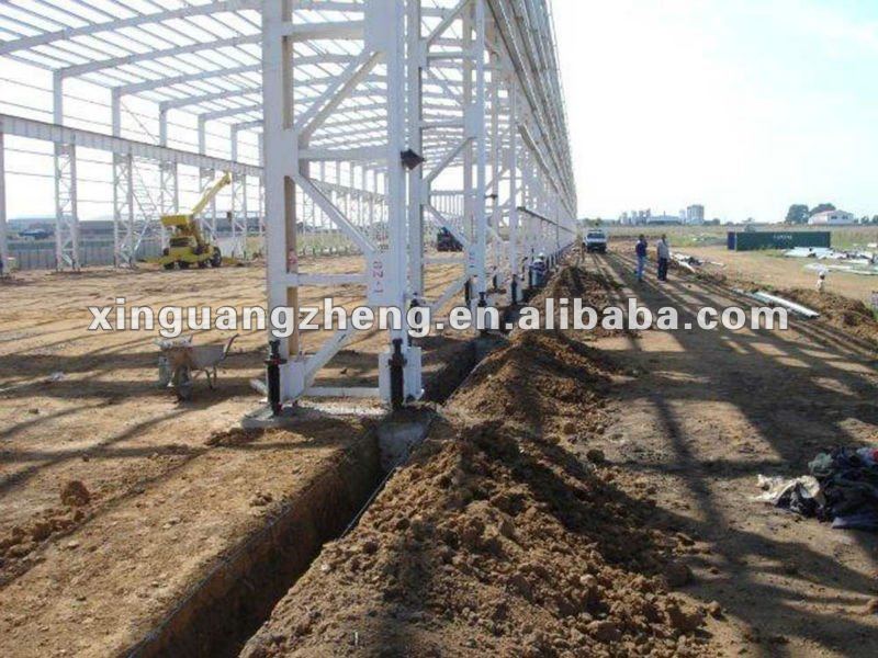 Construction steel structure workshop/warehouse/ metal building project/poutry shed