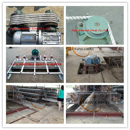 poultry farm layout equipmen cage chicken taiyu nigeria system lagos warehouse agent office there