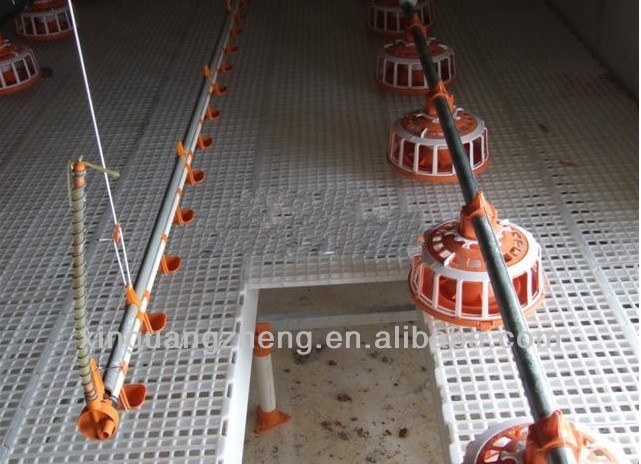 Xinguangzheng factory manufacture chicken shed poultry farm