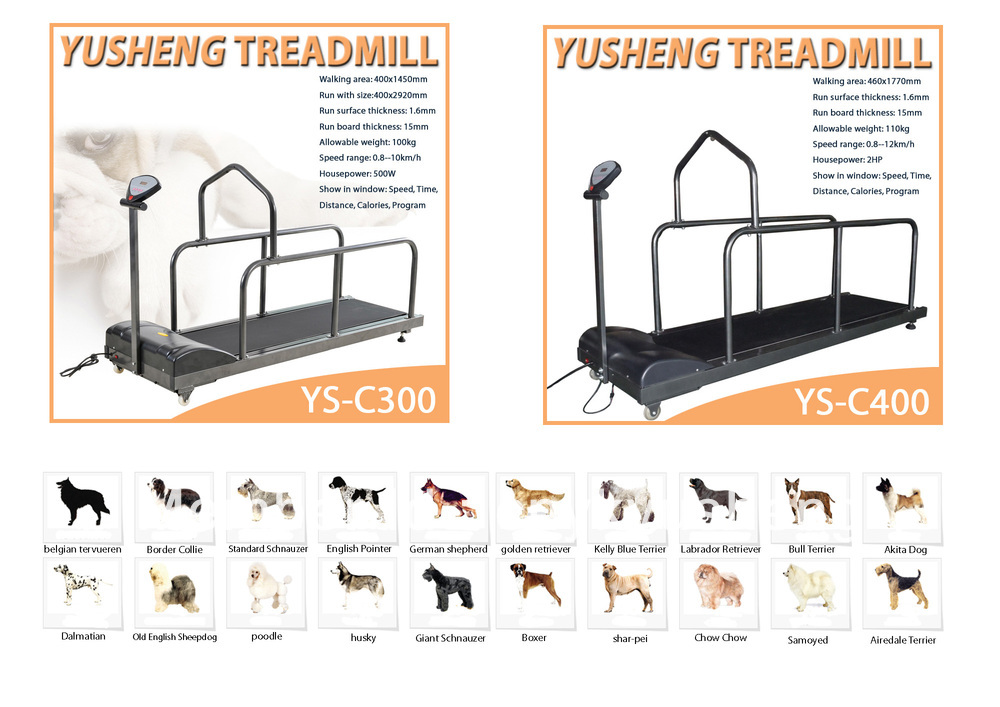 Hot Selling Pets Dog Adjustable Treadmill Ce - Buy Pets Treadmill For