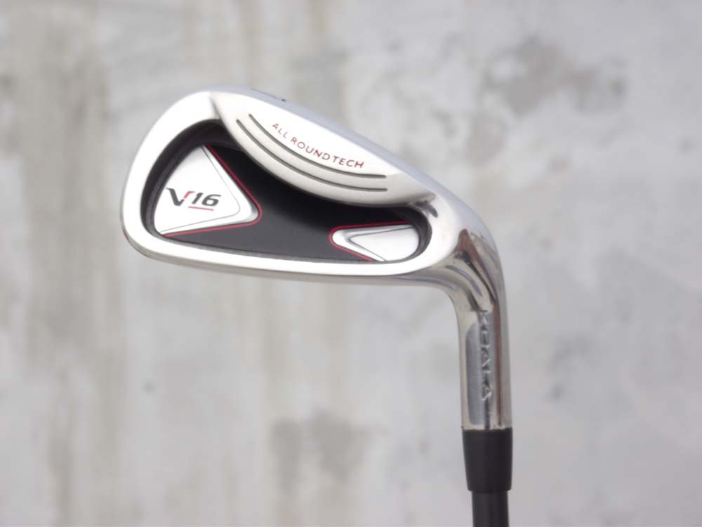 Custom Golf Club Iron