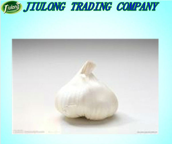 Chinese natural vegetable seeds garlic