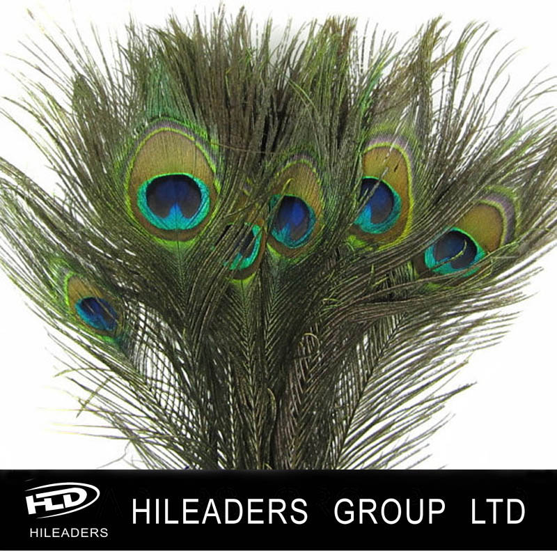 Rt1011 Natural Color 90100cm Wholesale Carnival Costume Peacock