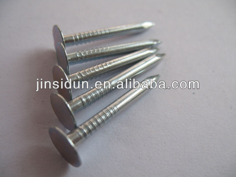 Galvanized Large Head Nail/ Clout Nail Buy Flat Head Clout Nails,Iron