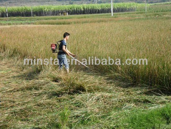 cheap grass cutting
