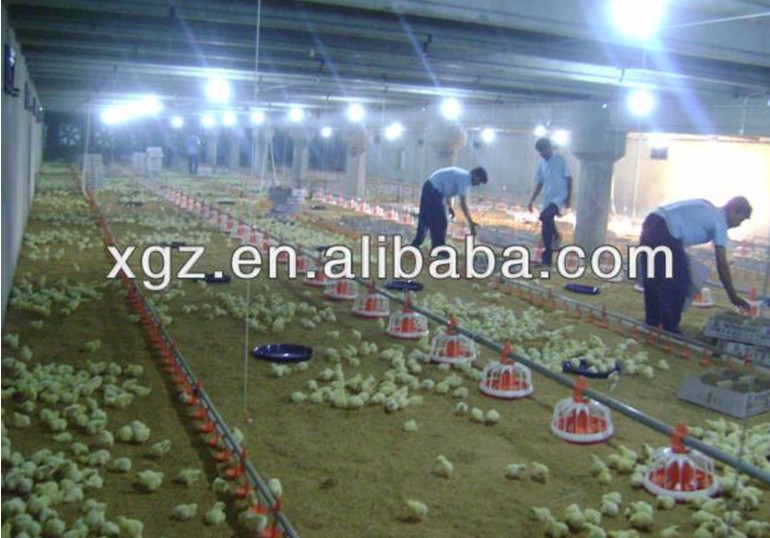 Prefabricated chicken broiler poultry building house
