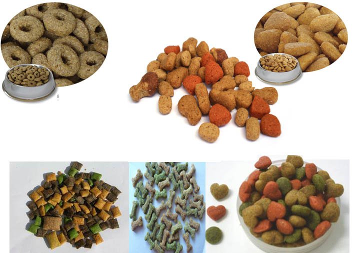 The dried pet food making machine +86 15553172778