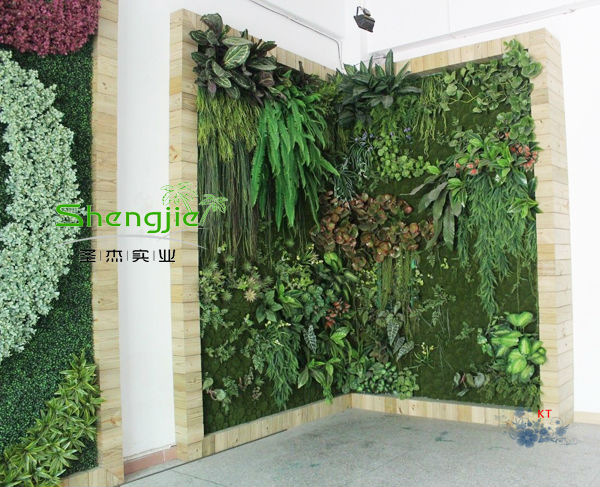 Shengjie Professionelle Spezielle Design Pflanze Wand,Künstliche