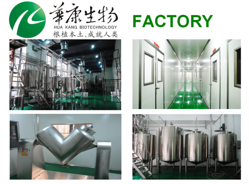 Yerba Mate Organiques Poudre D'extrait De Thé 25 Polyphénol Buy Yerba Mate Product on