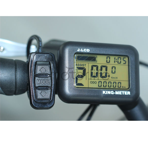 electric bike speedometer