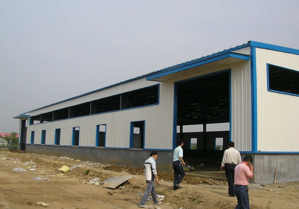 steel structure plant for flourmill
