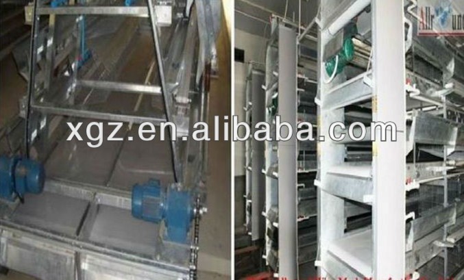 Structural steel frame poultry farm chicken shed