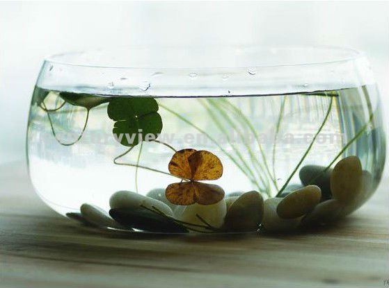 Round Decorative Large Wholesale Glass Fish Bowl Used Decorage - Buy