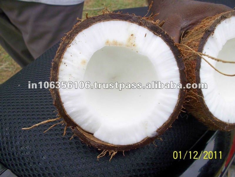 Whole Fresh Young Coconut Buy Fresh Young Coconut,Whole Fresh Young Coconut,Fresh Coconuts For