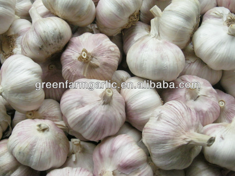 Pure white garlic 5cm