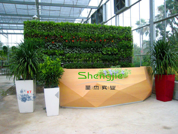 Shengjie Professionelle Spezielle Design Pflanze Wand,Künstliche