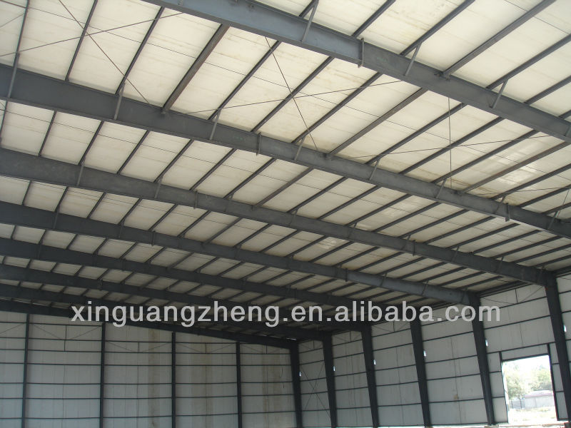Steel structure workshop/warehouse/hangar