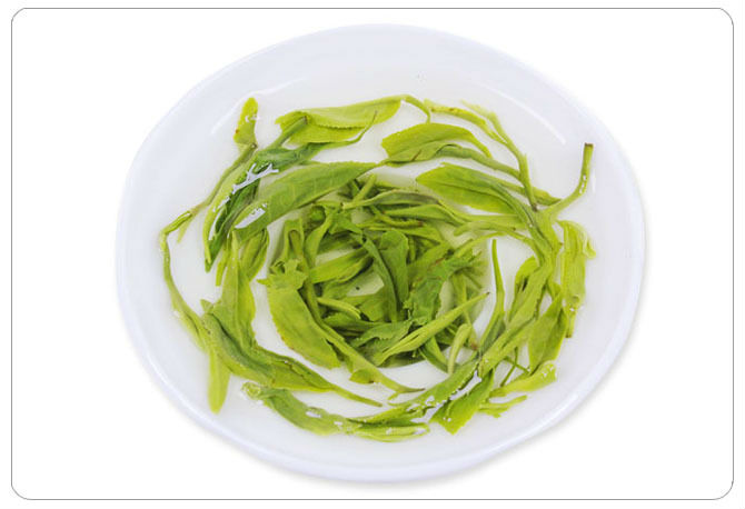 火药(朱茶) 优质松叶绿茶